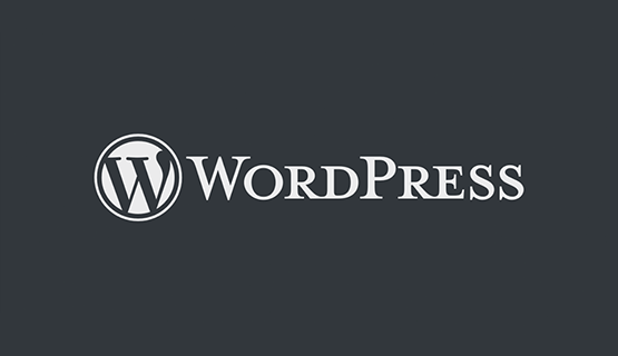seo-case-studies